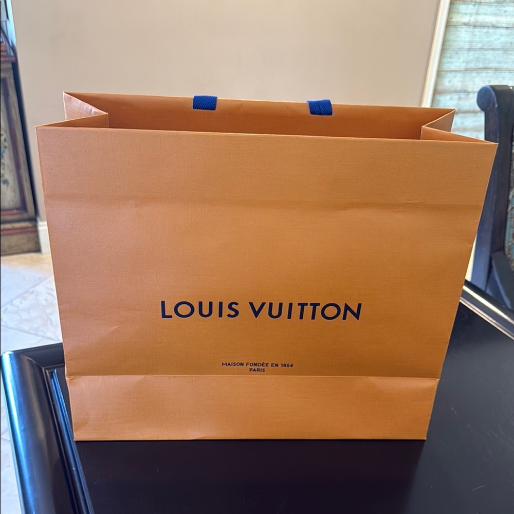 Louis Vuitton shopping bag